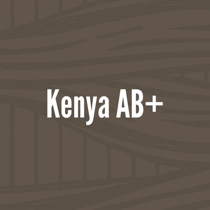 Kenya AB+  //  Dark Roast