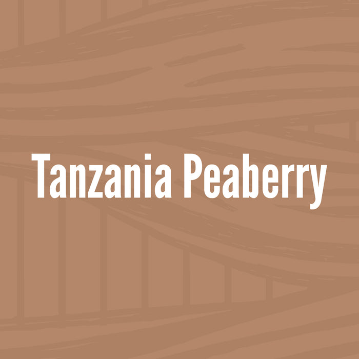 Tanzania Peaberry Cold Brew Pouch // Light Roast