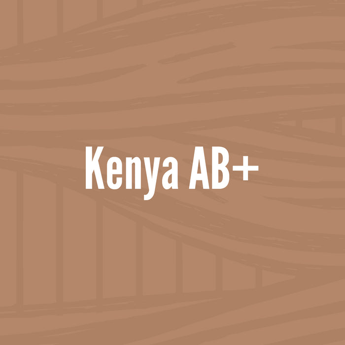 Kenya AB+  //  Light Roast